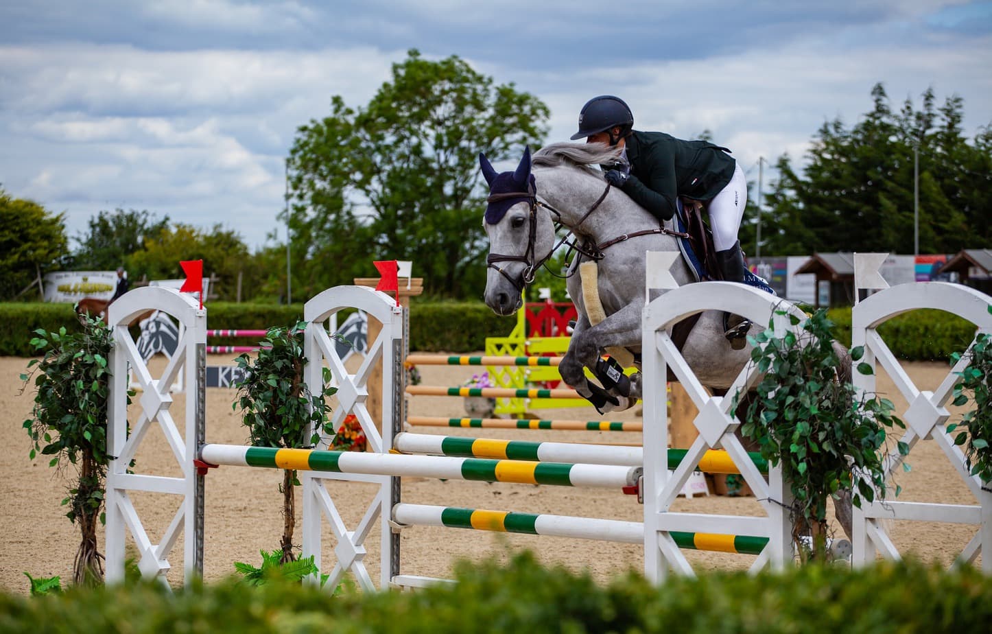 Equestrian disciplines – what are they and which one to opt for?