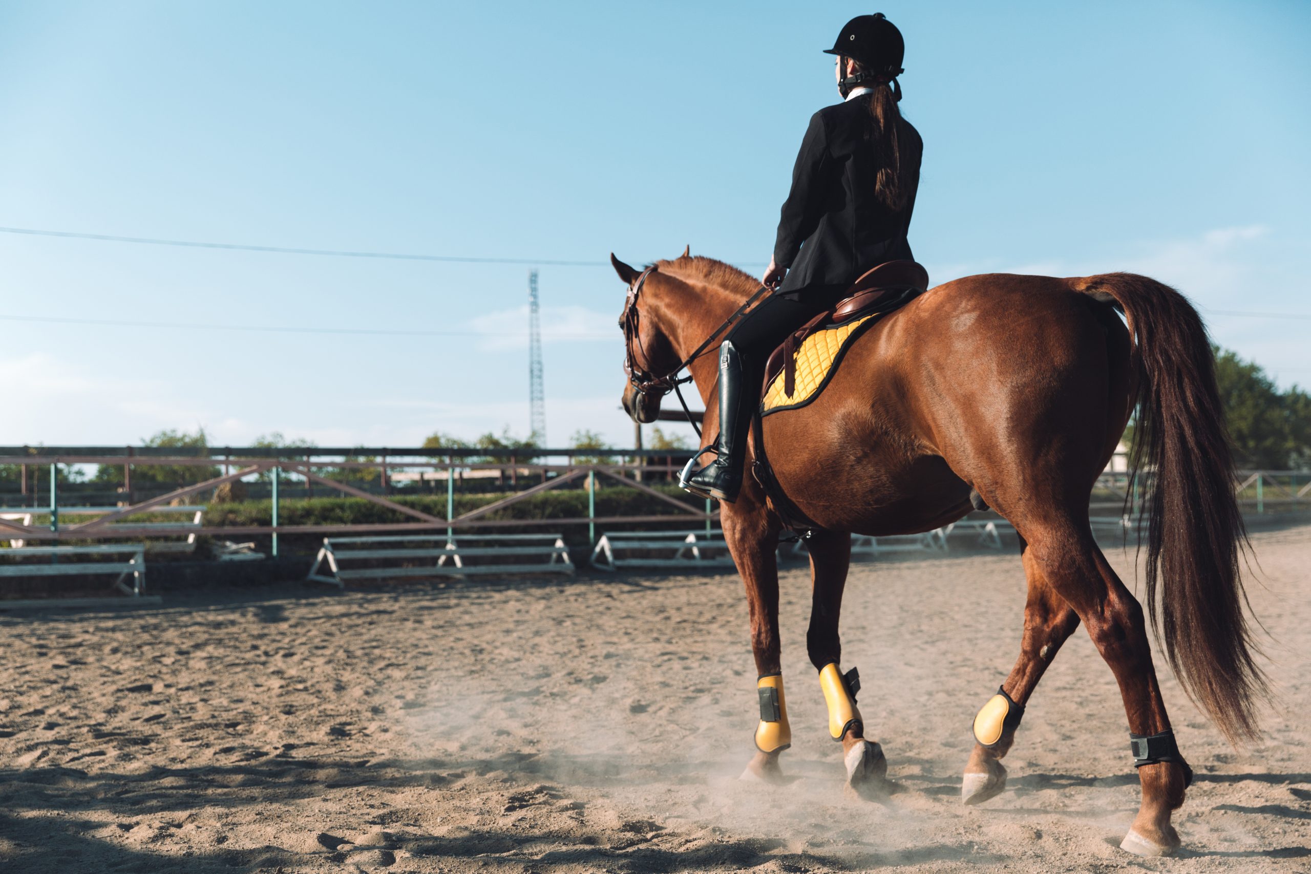 “The horse doesn’t listen to me” – the most common mistakes made in the saddle