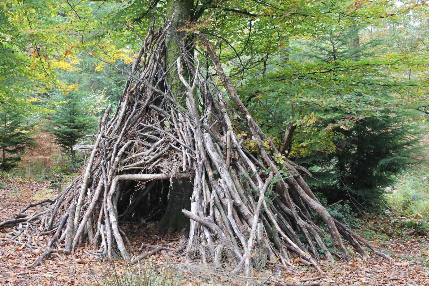 Survival for beginners: How to build a shelter?