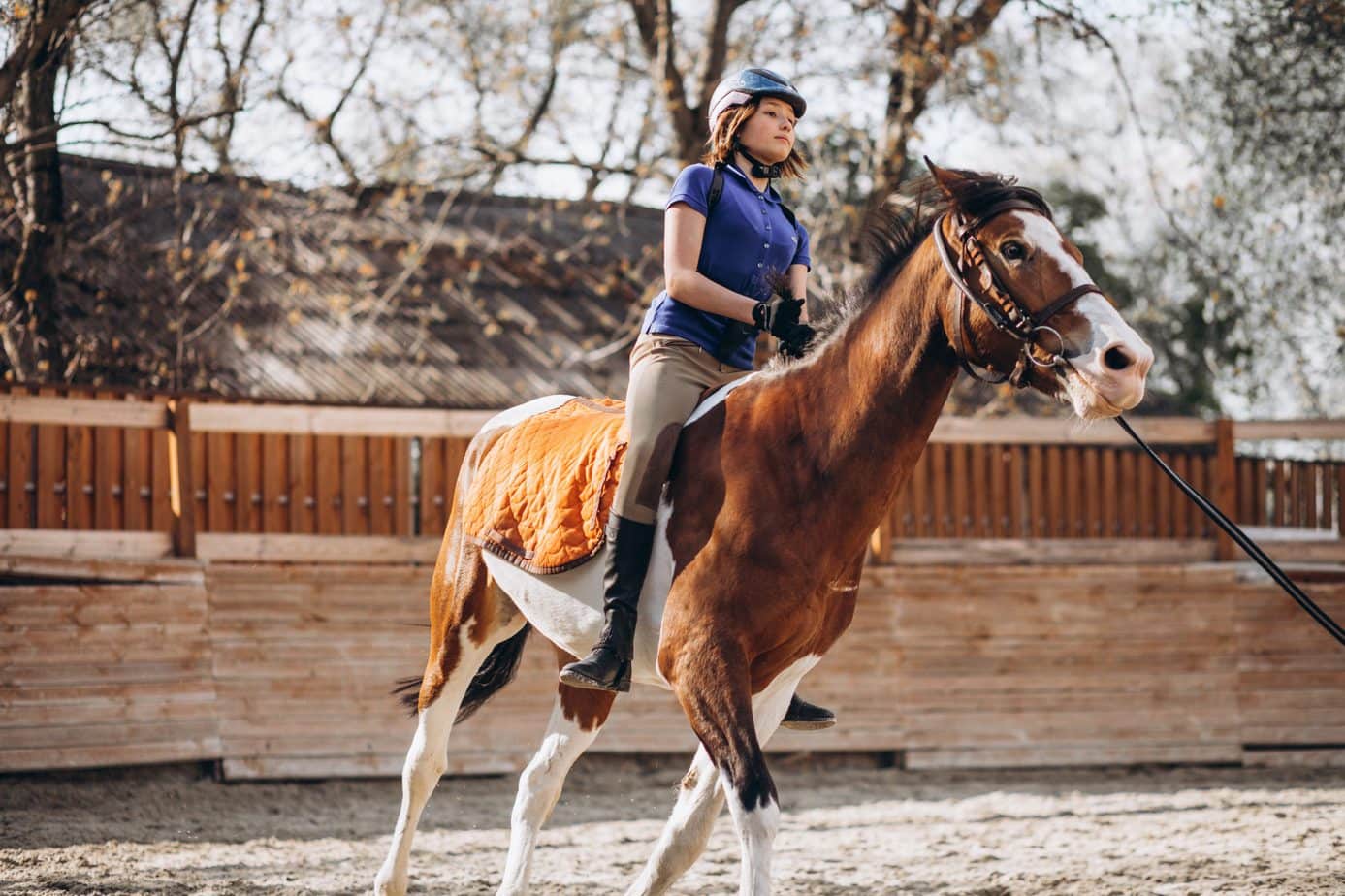 Riding on a lunge – is it really boring and tedious?