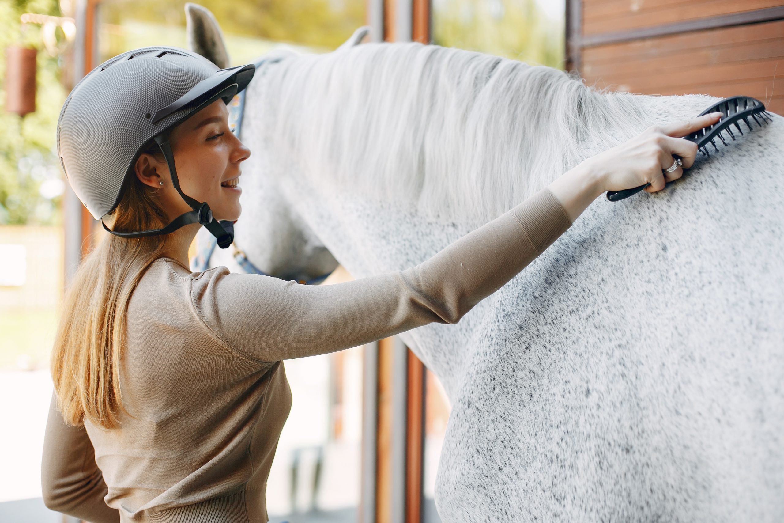 Breeding and care of a horse – what do you need to know at the beginning of your riding adventure?