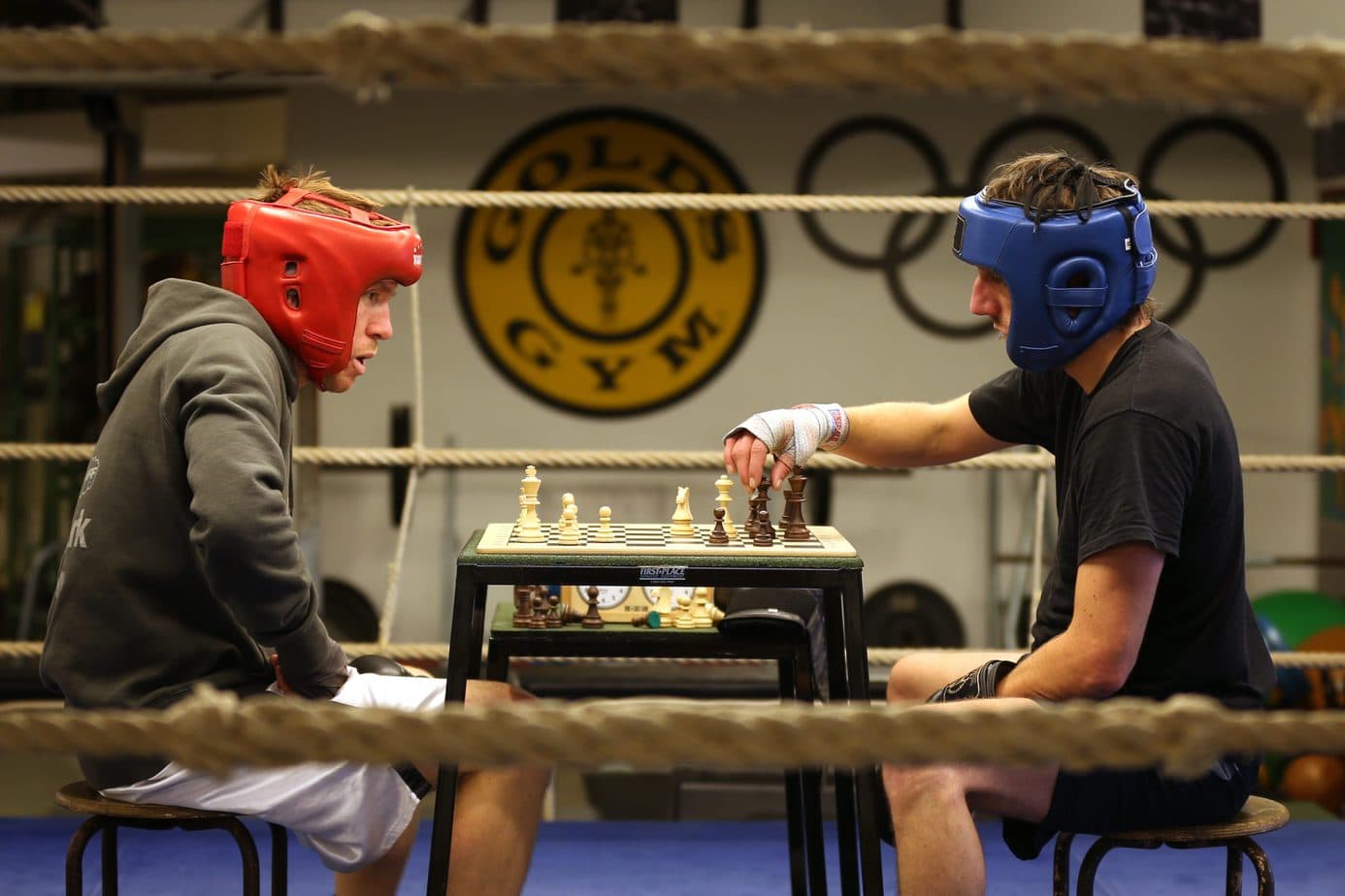 chess boxing  brainwash cafe