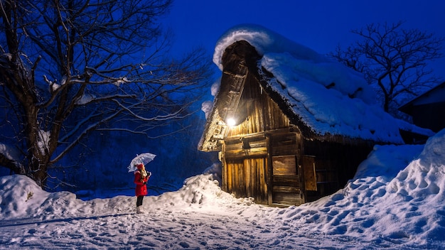 Creating Magical Winter Experiences with Illuminated Entrances